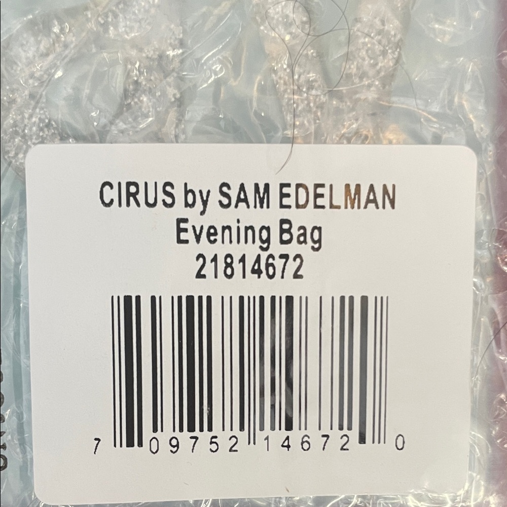 SAM EDELMAN CIRUS #Vacay EVENING BAG CLUTCH ACRYLIC CROSSBODY LT BLUEISH SILVER - Picture 7 of 7